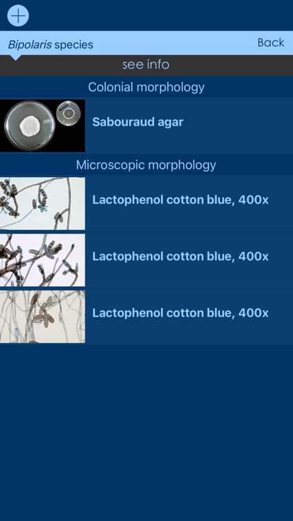 Mycology Image Atlas