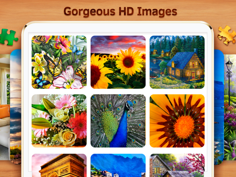 Tips and Tricks for Best Jigsaw Puzzles HD