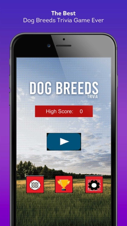 Dog Breeds Trivia Challenge