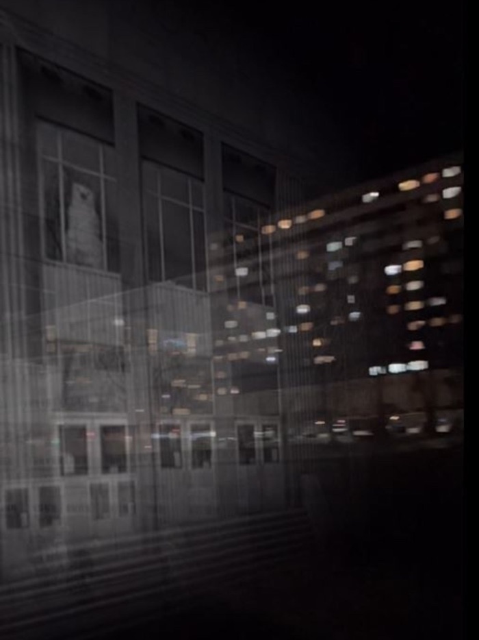 Collection  Recollection