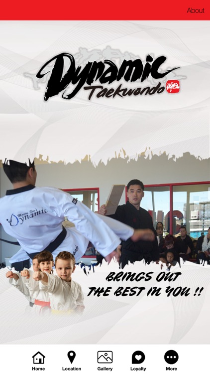 Master Seo's Dynamic TKD