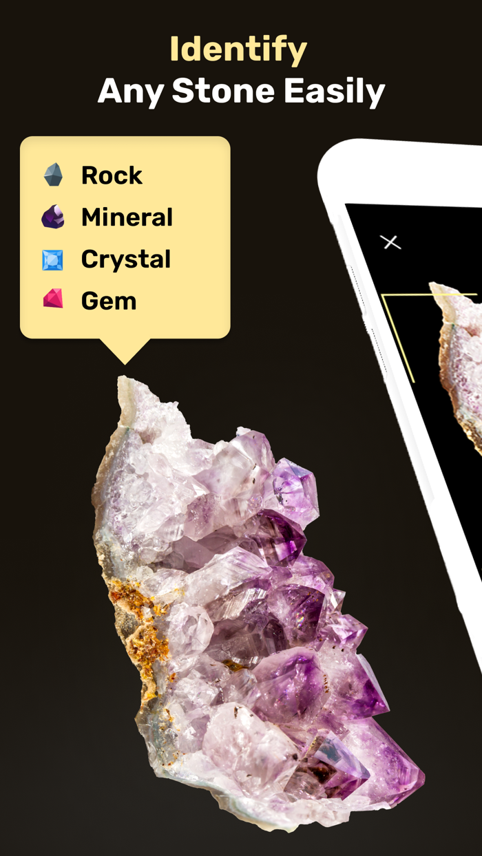 Rock Identifier  Stone ID Pro