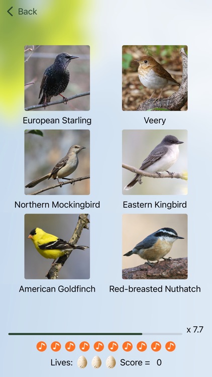 Chirp! Bird Songs & Calls USA screenshot-5