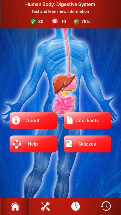 Digestive System Trivia