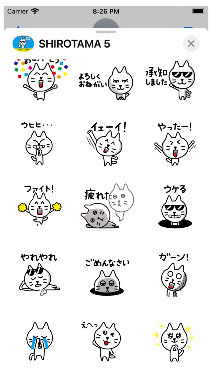 SHIROTAMA Cat 5 Sticker