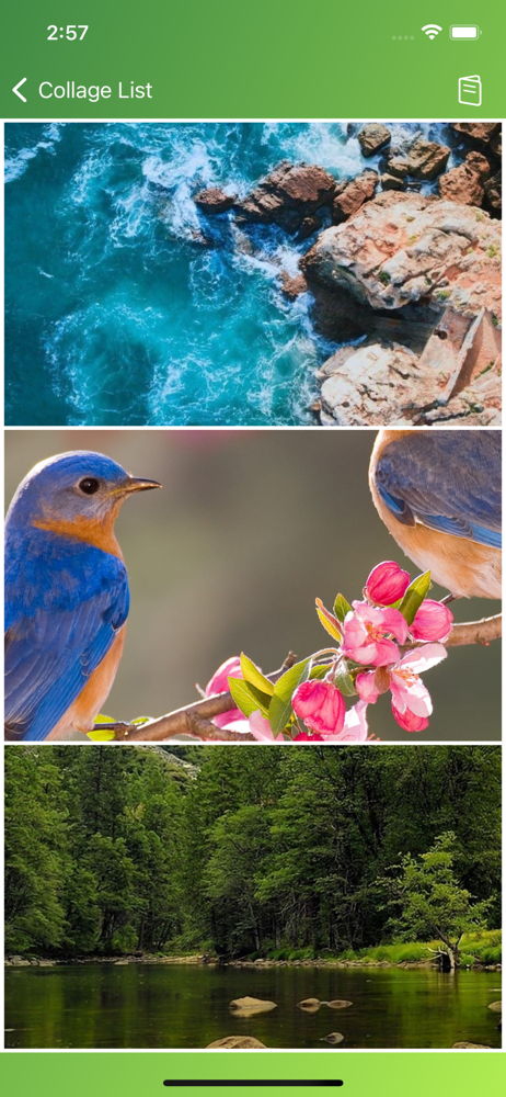 ZAARATE - Photo Collage screenshot 3