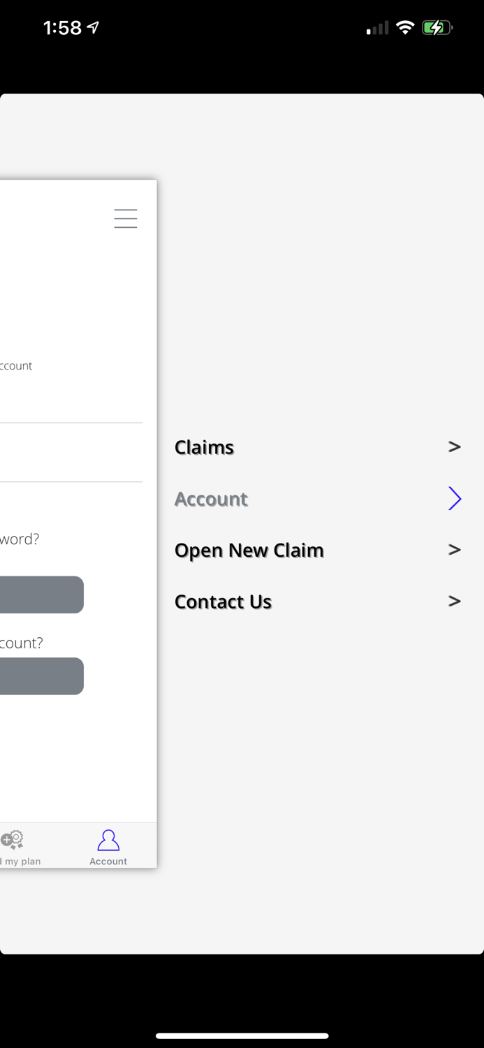 My Furniture Protection