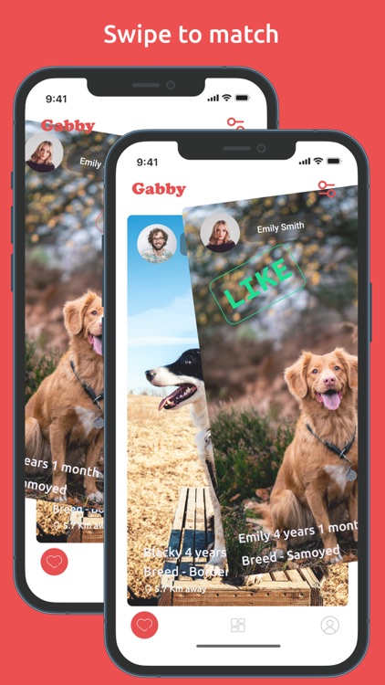 Gabby-dating & health for dogs