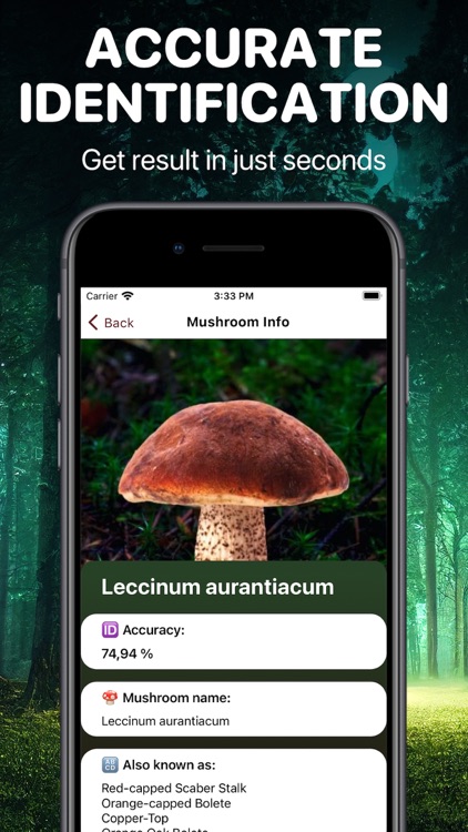 Mushroom Identifier App: Fungi