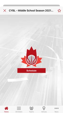 Game screenshot Canadian Youth Basketball hack