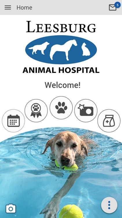 Leesburg Animal Hospital