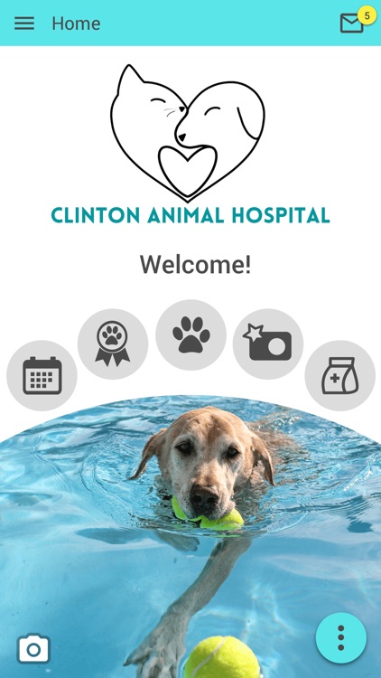 Clinton Animal Hospital