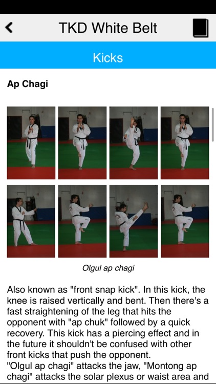 The Taekwondo White Belt