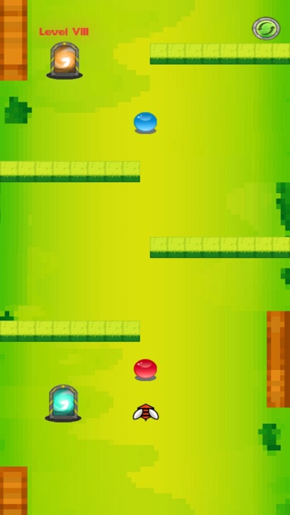 Bug Frenzy Pro screenshot-0