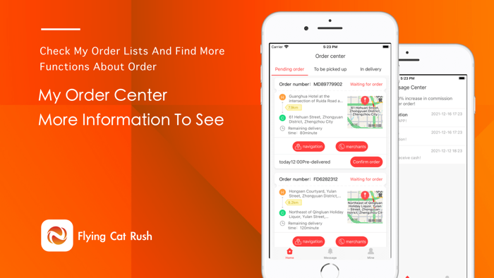 La pressa del gat volador