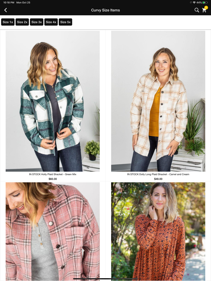 Curvy Chic Prairie Boutique