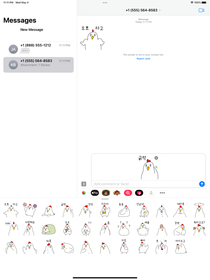 멍텅구리 꼬꼬새