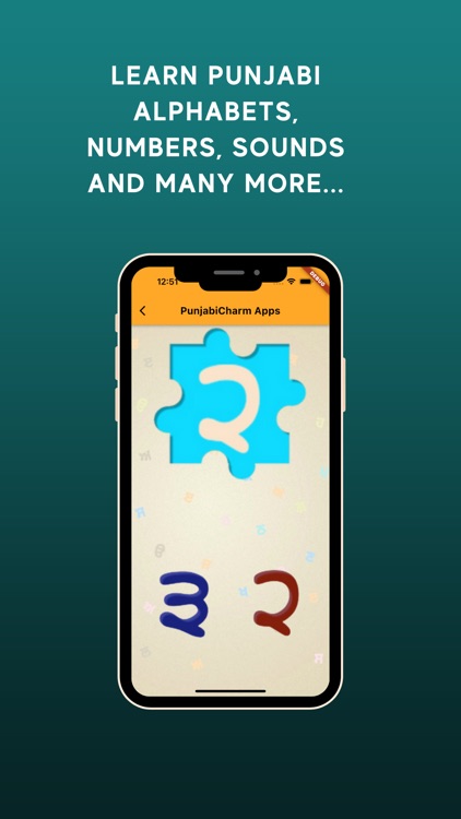 Learn Punjabi Puzzle for Kids screenshot-6