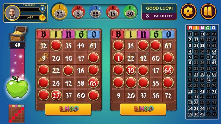 Bingo Classic! screenshot-0
