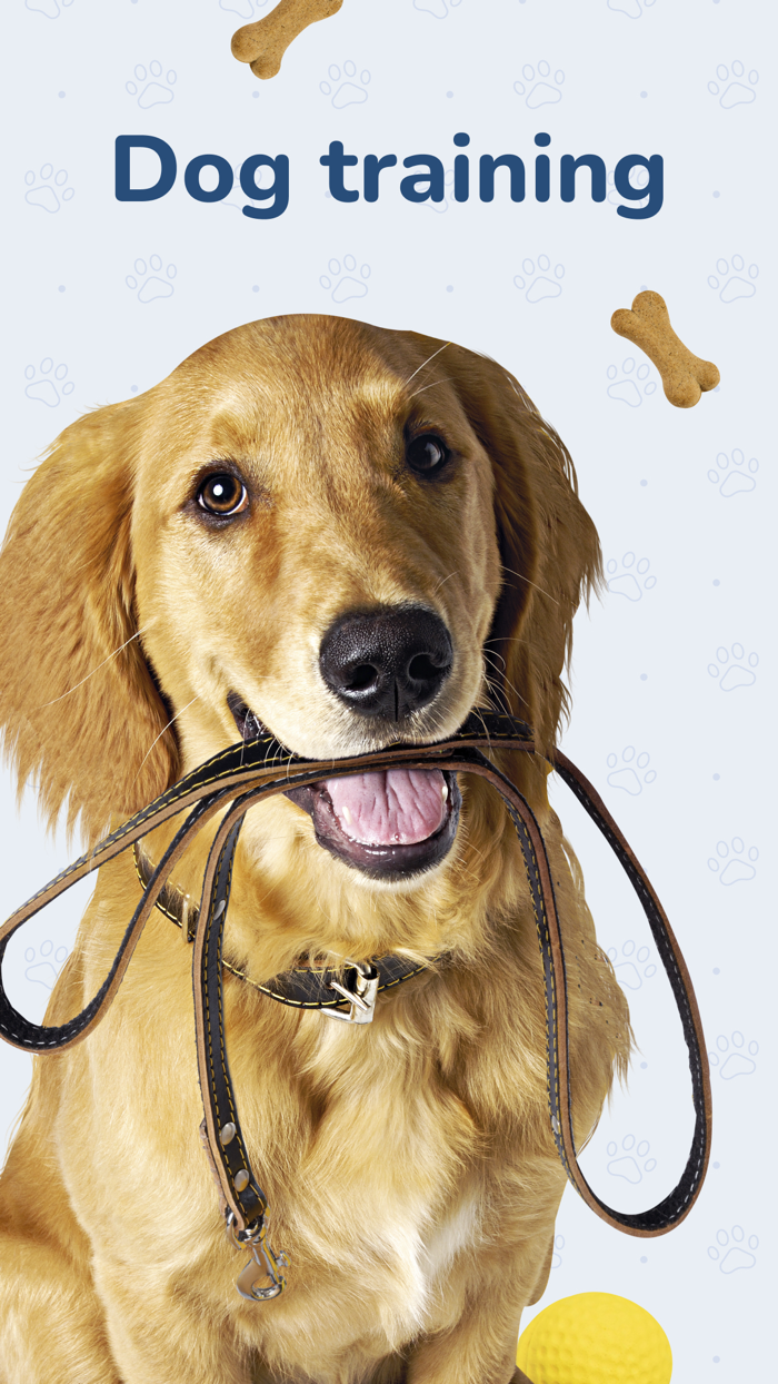 Dog Training  Clicker - Pawer