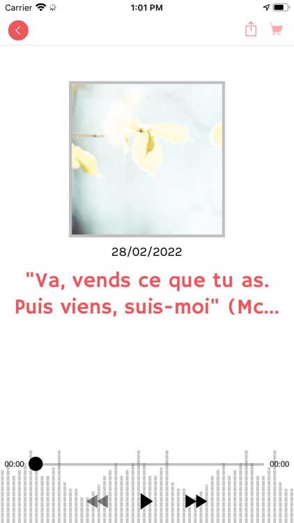 VERBUM CARO screenshot-3