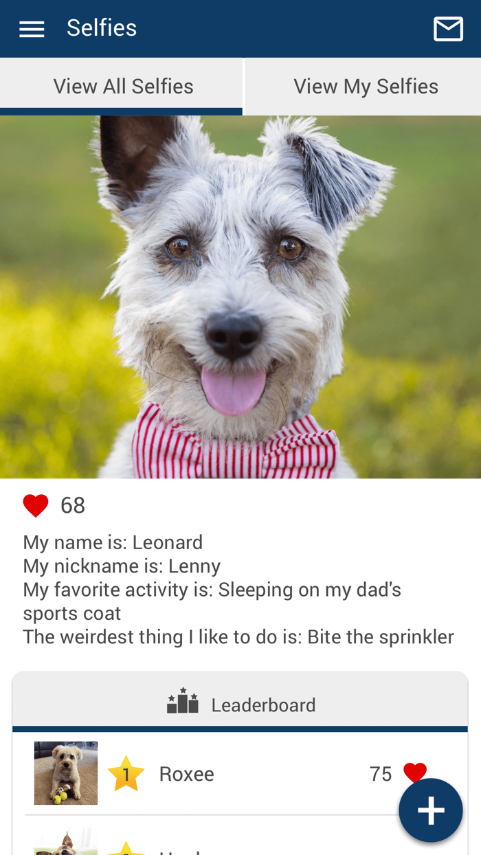 Care Animal Hospital FL