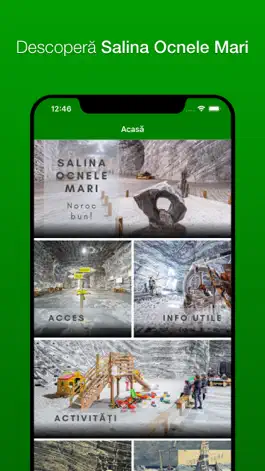 Game screenshot Salina Ocnele Mari mod apk