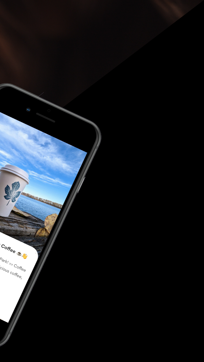 Daydreamer Coffee Online