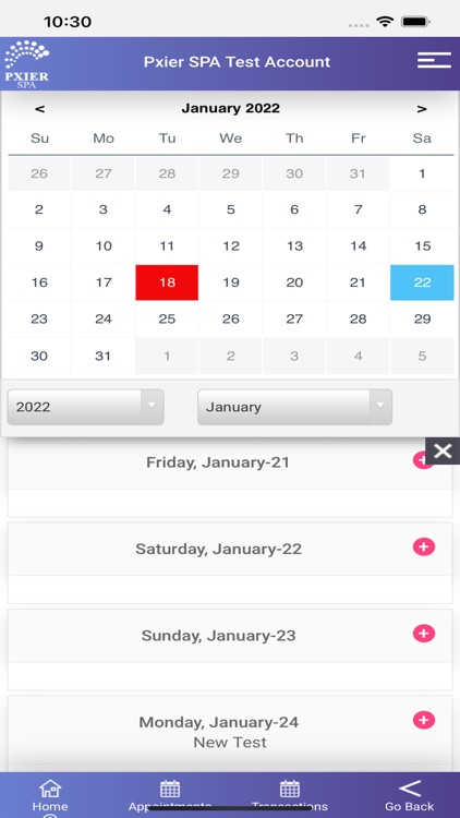 PxierSPA screenshot-4