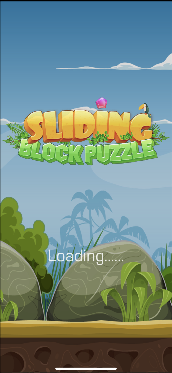 Sliding Block Puzzle Premium