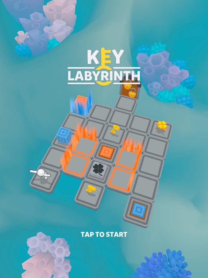 Key Labyrinth