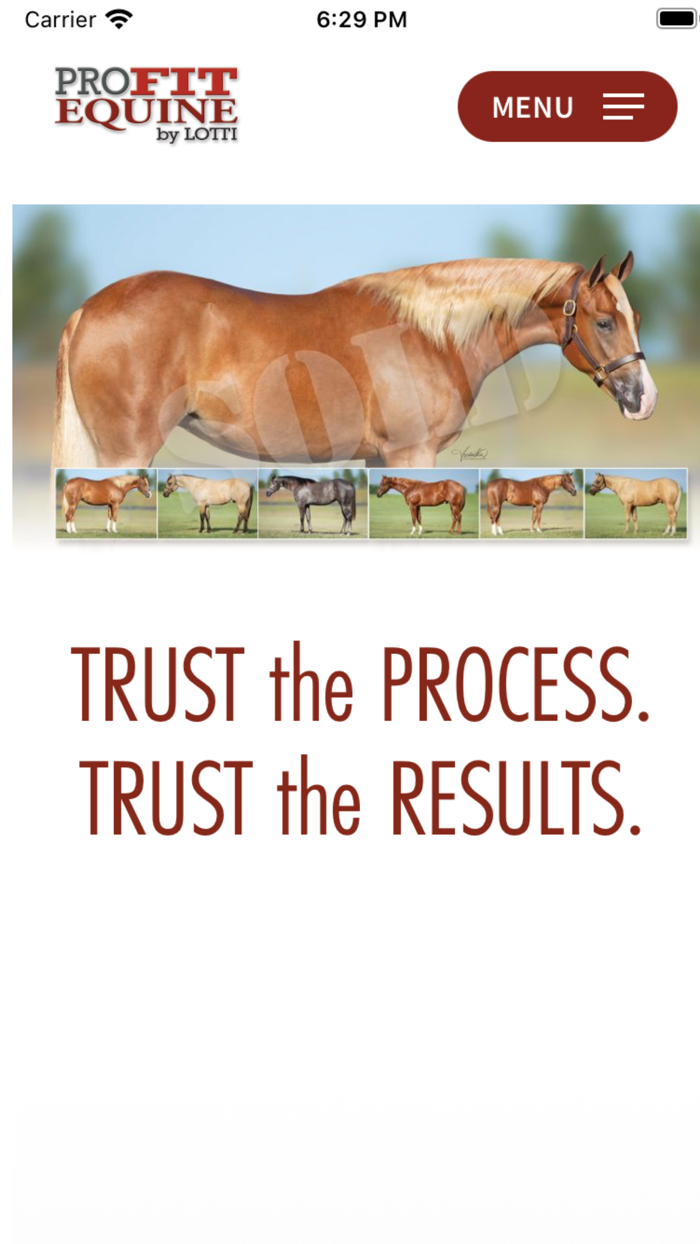 Pro Fit Equine