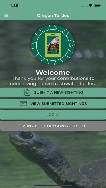 Oregon Turtles