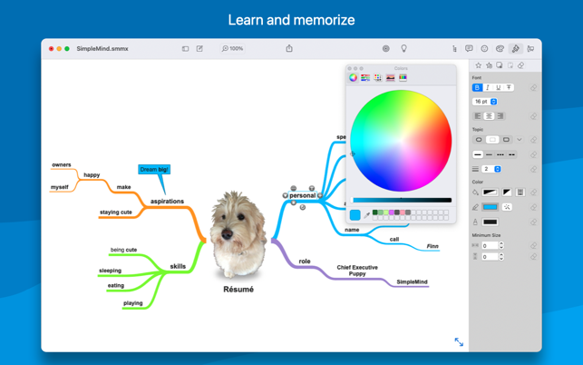 ‎SimpleMind Pro Screenshot