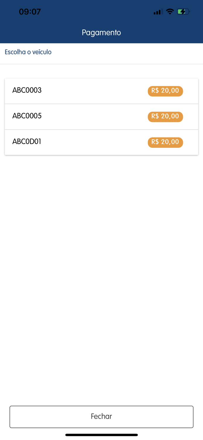 Pamcard Frota Mais - Motorista