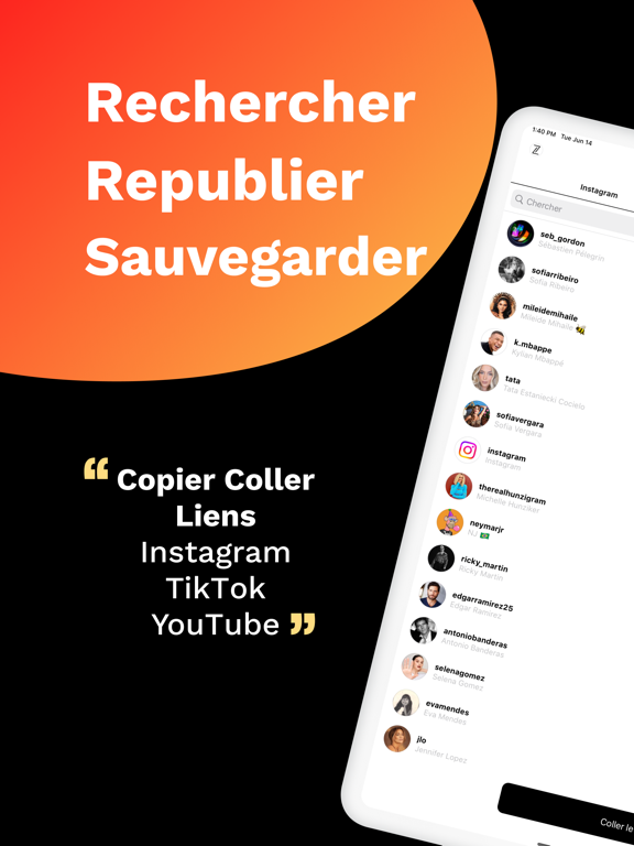 Screenshot #4 pour Instant Saver
