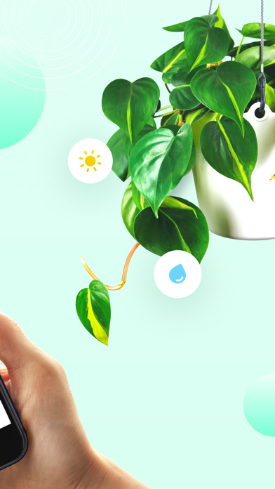 Plant Parent - Guide entretien Plant Parent - Guide entretien