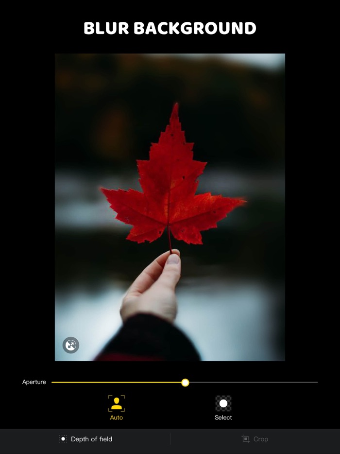 Blur Photo Portrait Mode