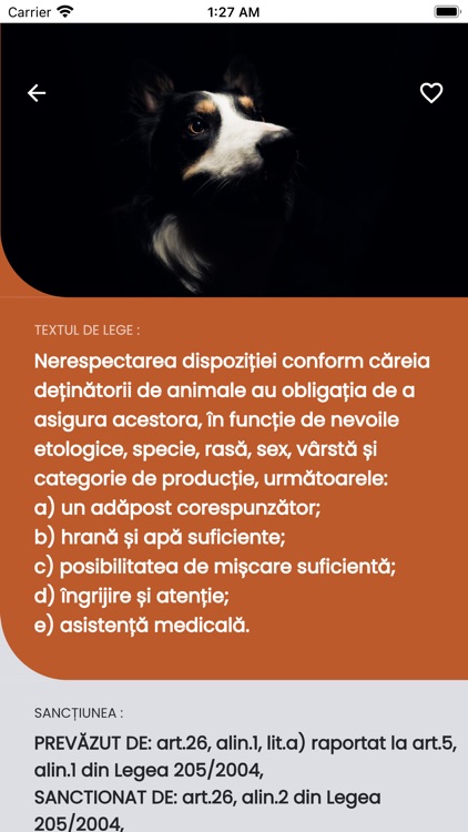 Amenzi Protectia Animalelor