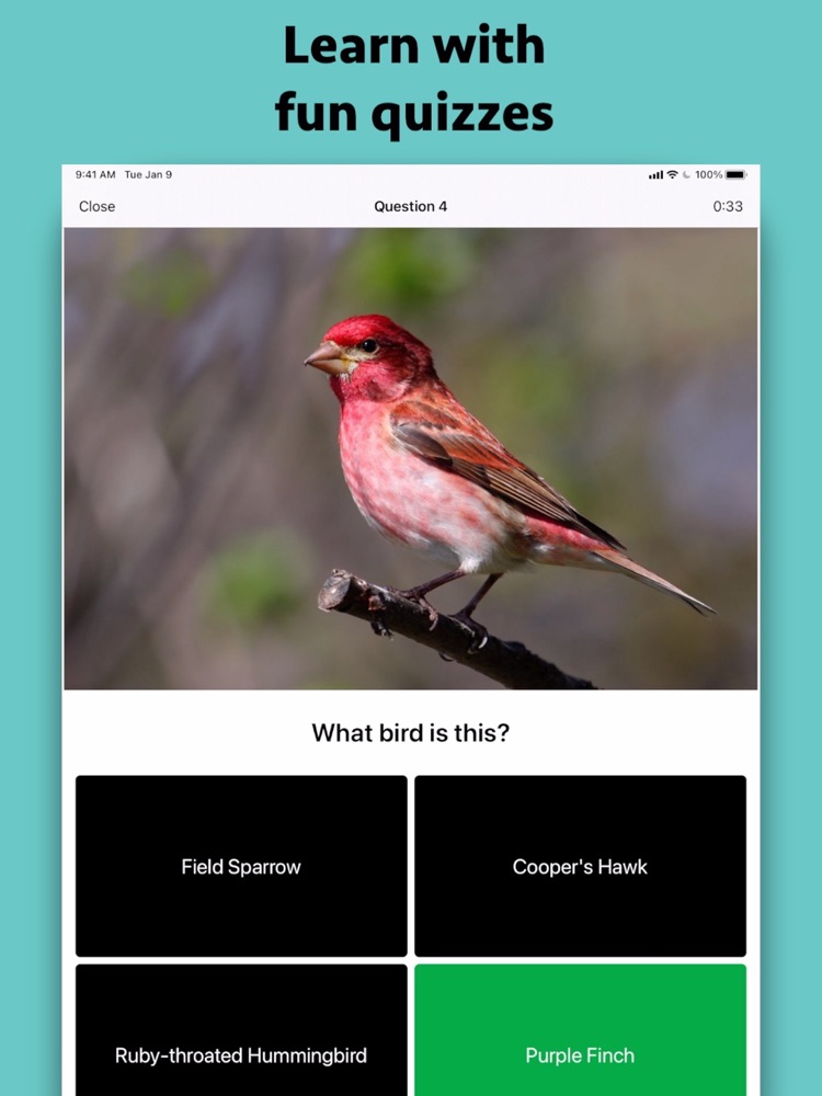 smart-bird-id-app-for-iphone-free-download-smart-bird-id-for-ipad