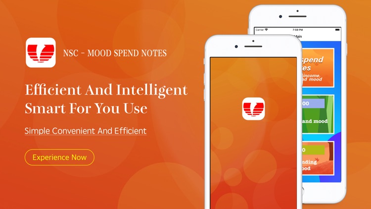 NSC - Mood spend notes