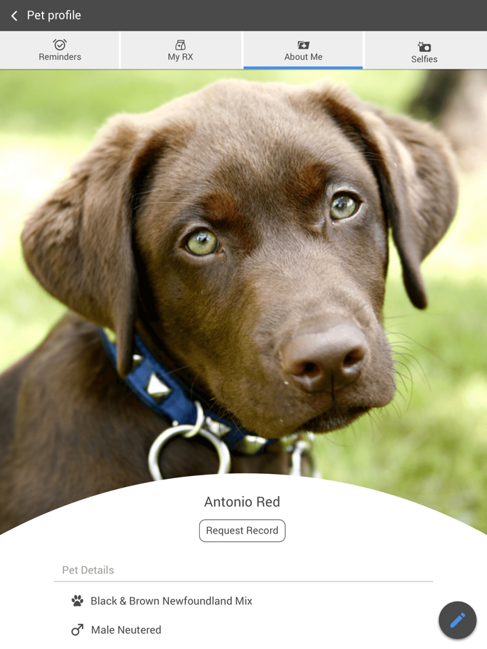 At Home Veterinary Care