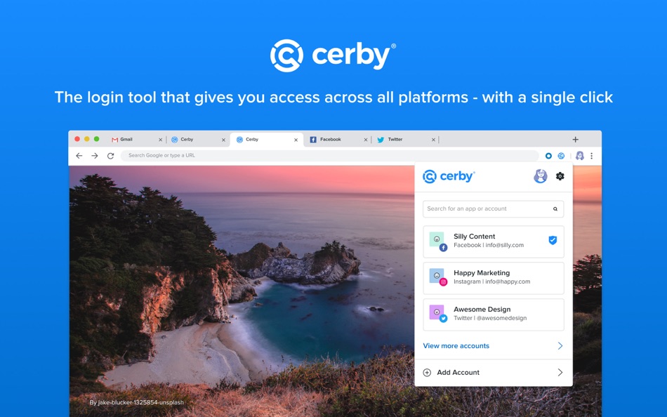 Web extension