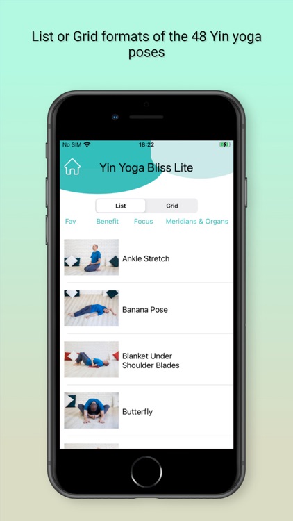 Yin Yoga Bliss Lite