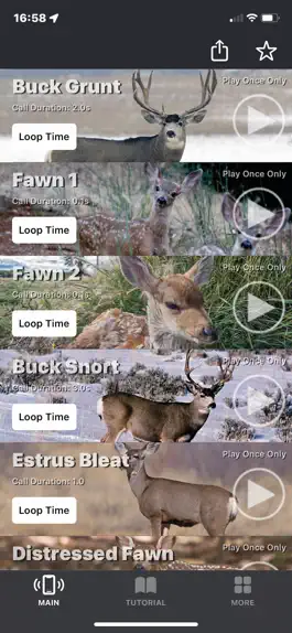 Game screenshot Mule Deer Calls mod apk