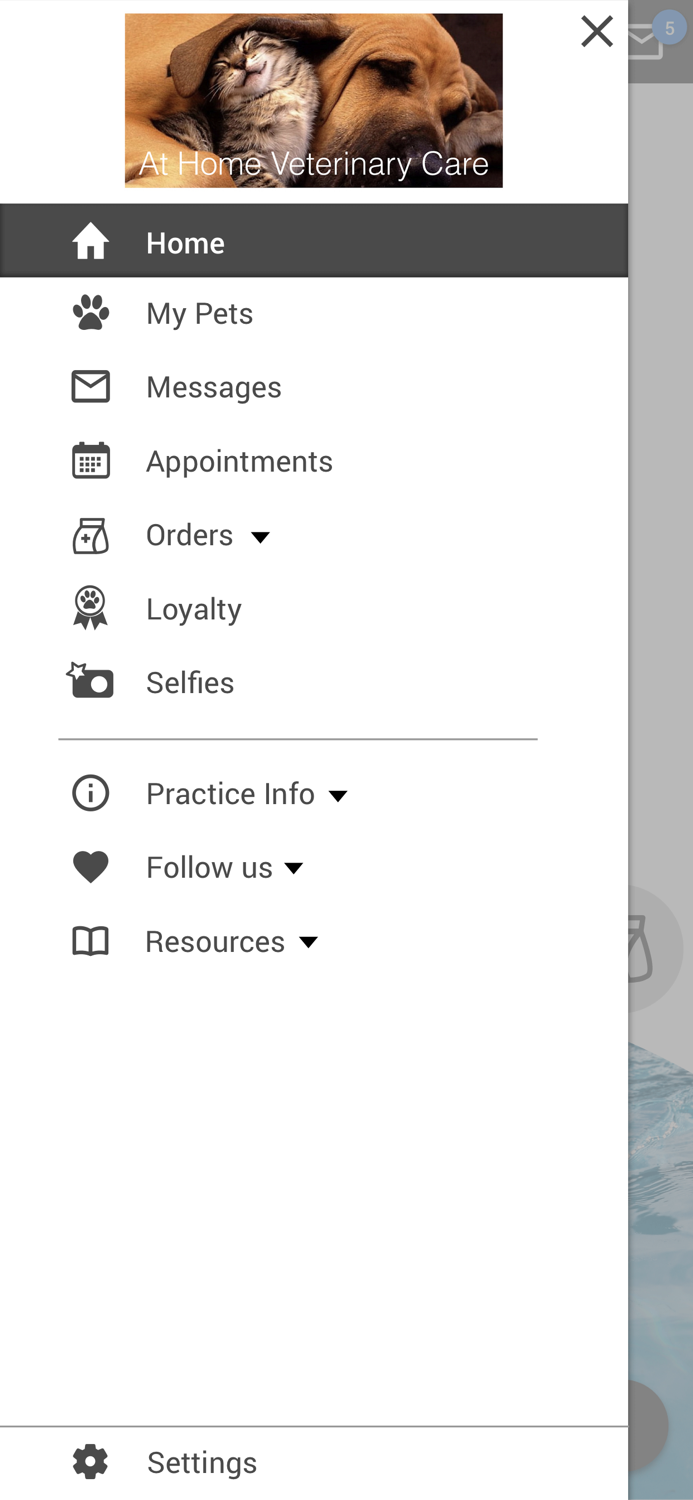 At Home Veterinary Care