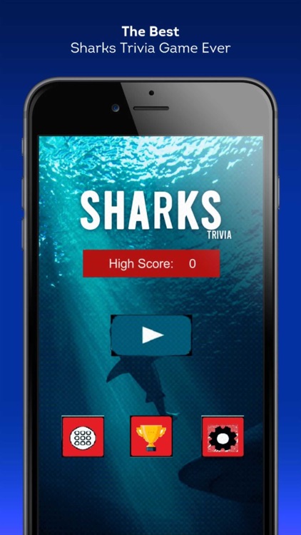 Sharks Trivia Challenge