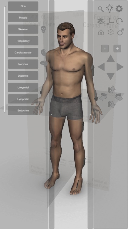 3D Human Anatomy Introduction screenshot-0