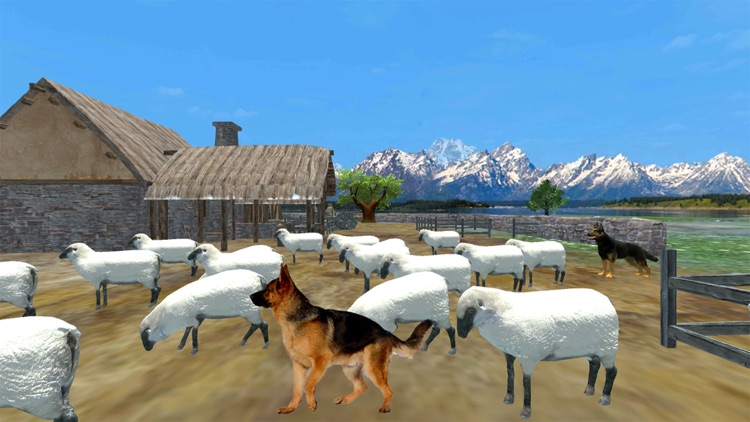 Shepherd Dog:Wild Animal Game screenshot-5