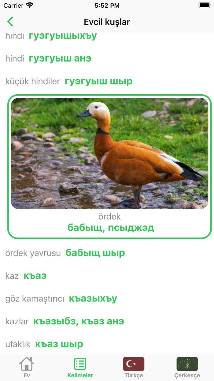 Kabartay lehçesi sözlüğü